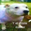 COCA