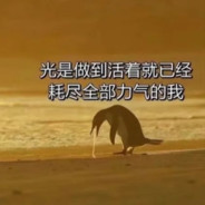 爱没学过地理超薄也是距离