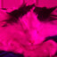 Fat_tit