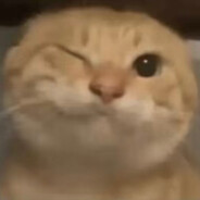 同性恋黑人素食环保主