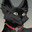 Firium's Avatar