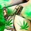 WEED KNIGHT