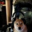 StinsoN