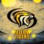 Yellow Tiger_Nikitos