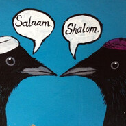Middle Eastern Crow Love
