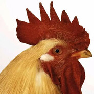 天下婊子不得好死