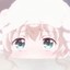 miaojj