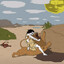 Iroquois Pliskin