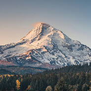 大声回答谁是zhu