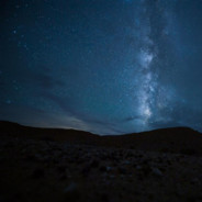 朱加什维利·约瑟夫