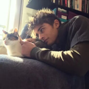 浣熊市马拉松皇帝马进Wesker怀里