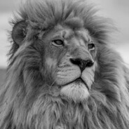 Smokey（发炎版）