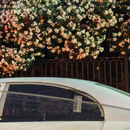 时间并不是创可贴