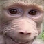 Kid Named Pubert