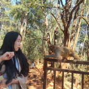 和他接吻搅不赢