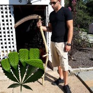 NASTY-DAVE-O@soco_sinsimilla IG