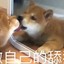 香*养殖场