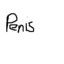 penis