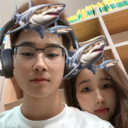 赵哈妮只爱蔡亚男