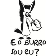 ⚡Burro de Carga⚡