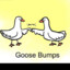 Bumpy Goose