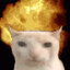 Spiffy's avatar