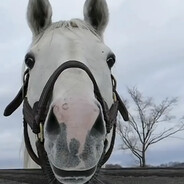 Stranger In A Strange Land