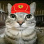 f1exy