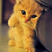 说出吾名 吓汝一跳