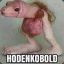 HodenKobold
