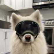 爆头机器 Happy -iwnl