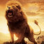 LionKing