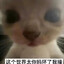 这个世界太尼玛坏了卧