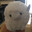 Autism Sheep
