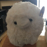 Autism Sheep