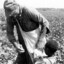 farmer