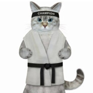 ВОРОВСКАЯ ЛАПА