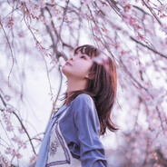 海棠未雨，梨花先雪，