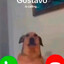 gustavo is calling you