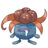 西红柿鸡蛋菠菜面