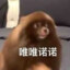 纯i战士