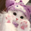 猫猫