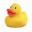 Quacked.Duck