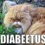 Diabeetus