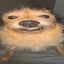 CHEPOPO