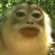 РожаПротокольная