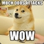 Doge Da DDoser