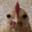 ✪ ValC Boo Steam avatar