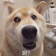 风尘路里的追赶