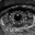 Mishkah-